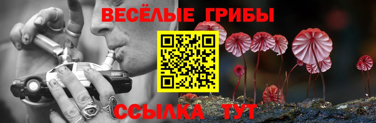 Псилоцибиновые грибы ЛСД  Вход с VPN  Слободской  Галлюциногенные грибы Psilocybine cubensis 